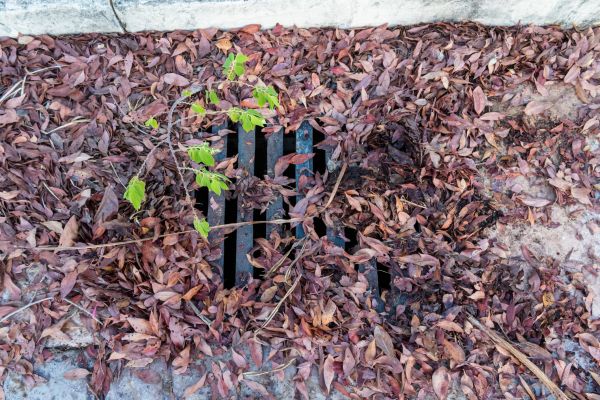 Yard Drain Unclogging in High Point
