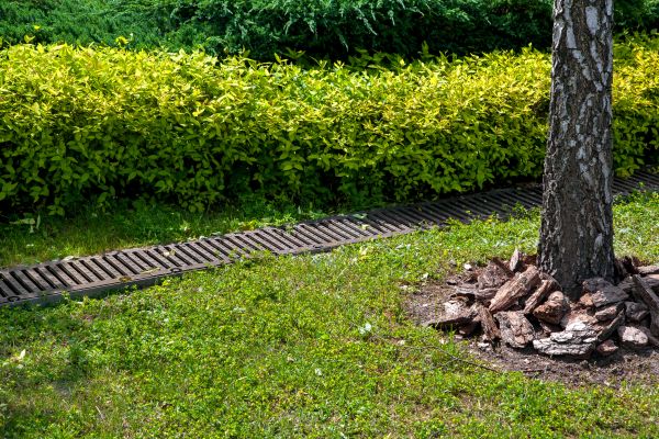 Residential Landscape Drainage in High Point