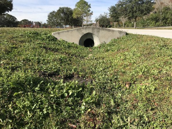 Cost of Swale Drainage Service in High Point